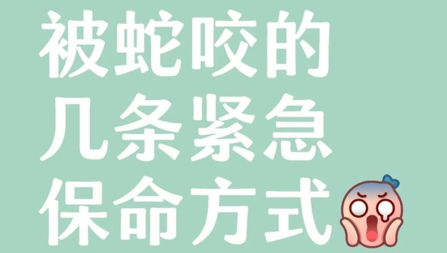 七星连珠,9944CC天下彩免费资料大全20,全面解答解释落实_手游版V15.83
