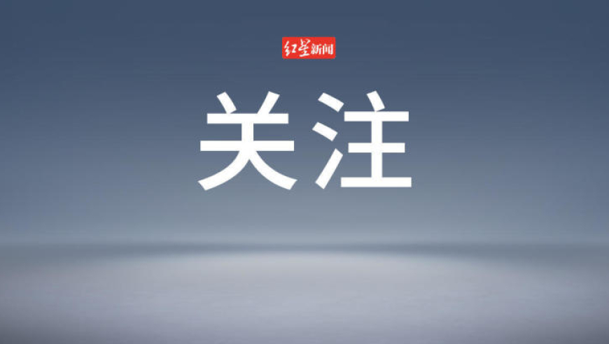 普京同意停火提议 泽连斯基回应,2025 年管家婆精准一肖一码,完美答案解释落实_专家版V10.95